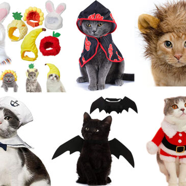 Top 10 Funny Cat Costumes