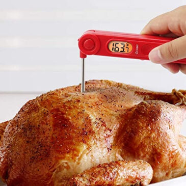 Best Meat Thermometers