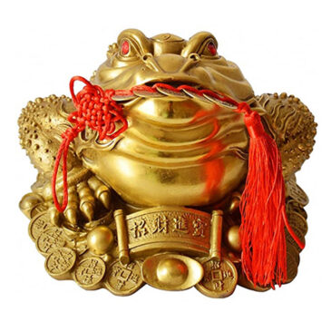 Best Money Frog